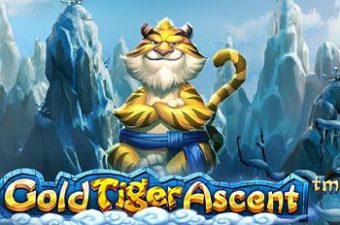 Gold Tiger Ascent